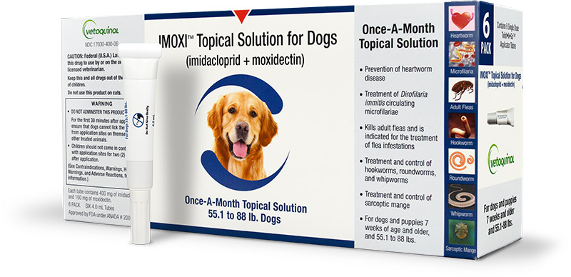 Imoxi Topical Solution