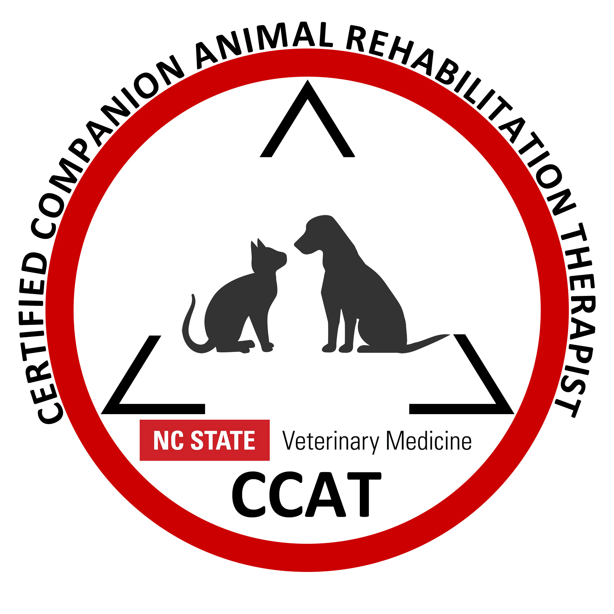 CCAT Logo