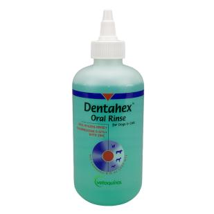 Dentahex oral rinse cheap for dogs